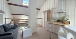 Magnificent character house with swimming pool