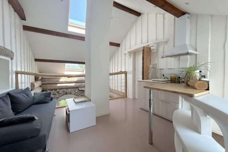 Magnificent character house with swimming pool
