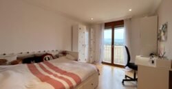Charming house with private garden