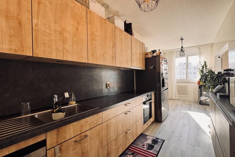 4- room apartment, 83 m², with open view and recently renovated 4- room apartment, 83 m², with open view and recently renovated