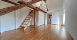 Magnifique maison villageoise avec piscine