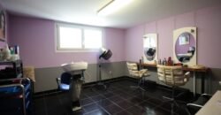 Splendid individual house in Grand-Lancy Splendid individual house in Grand-Lancy