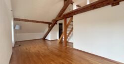 Magnifique maison villageoise avec piscine