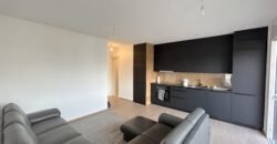 Magnifique Attique MINERGIE avec grande terrasse Magnifique Attique MINERGIE avec grande terrasse