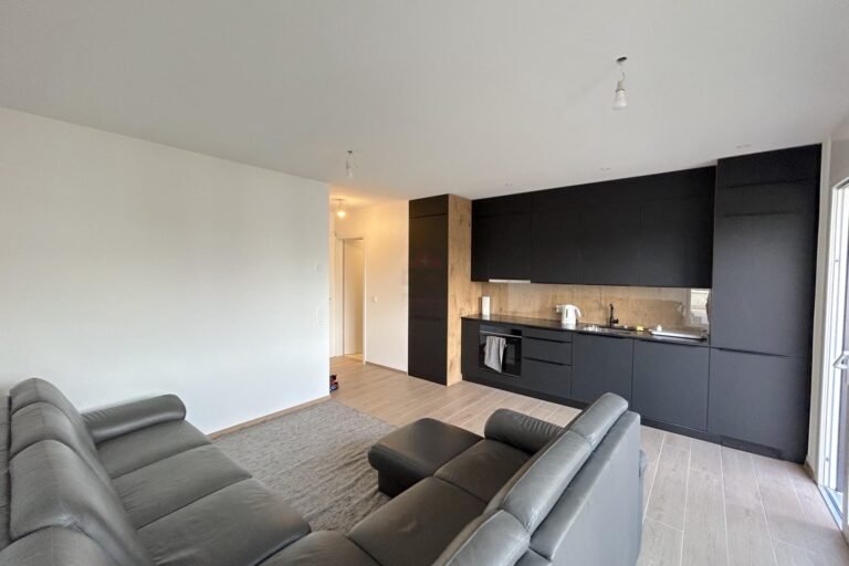 Magnifique Attique MINERGIE avec grande terrasse Magnifique Attique MINERGIE avec grande terrasse