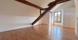 Magnifique maison villageoise avec piscine